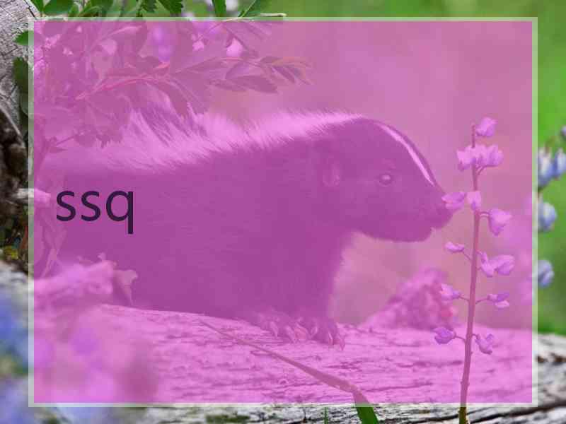ssq