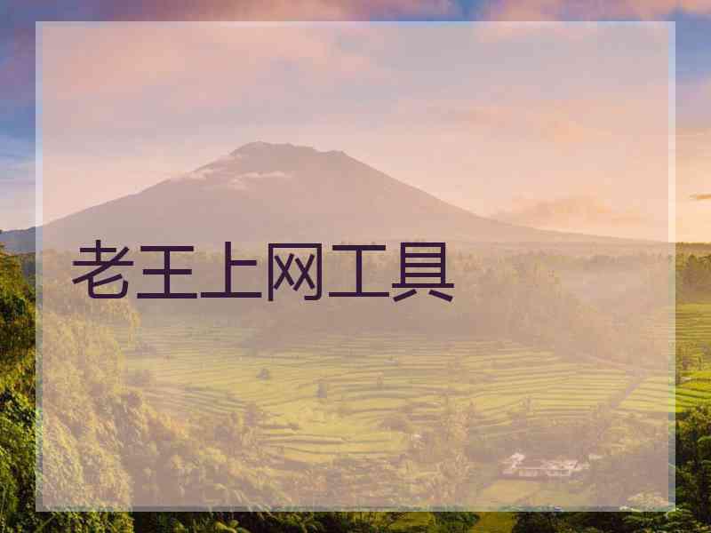 老王上网工具
