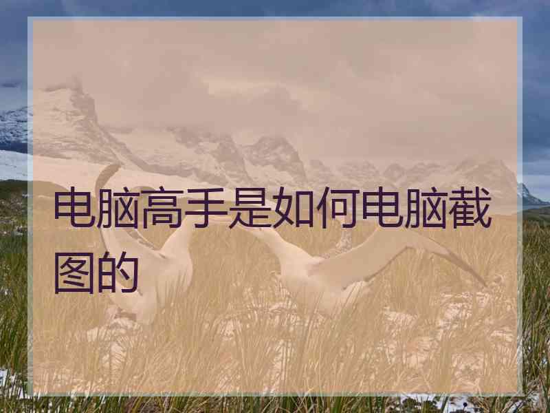 电脑高手是如何电脑截图的
