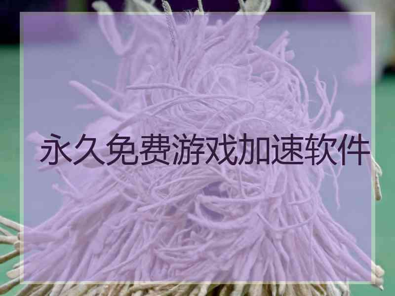 永久免费游戏加速软件