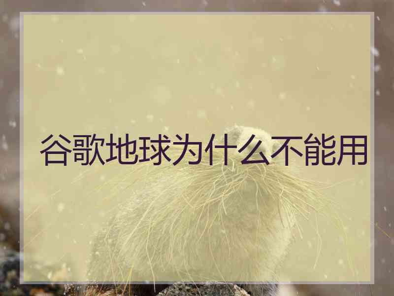 谷歌地球为什么不能用