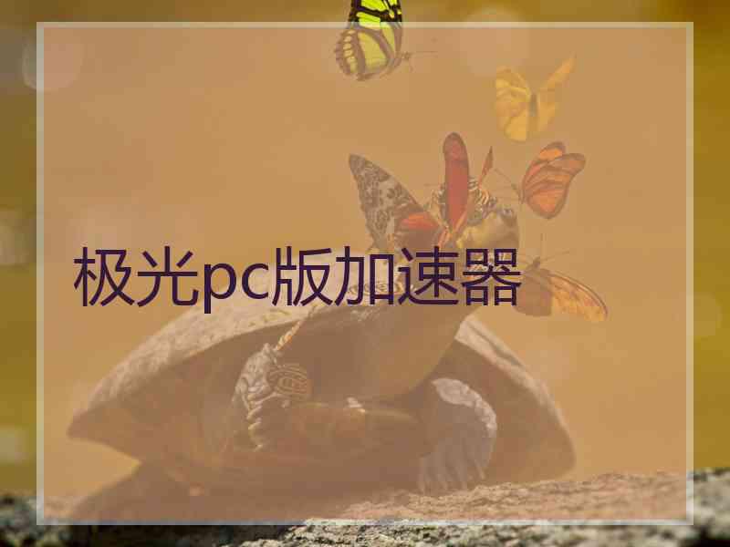 极光pc版加速器