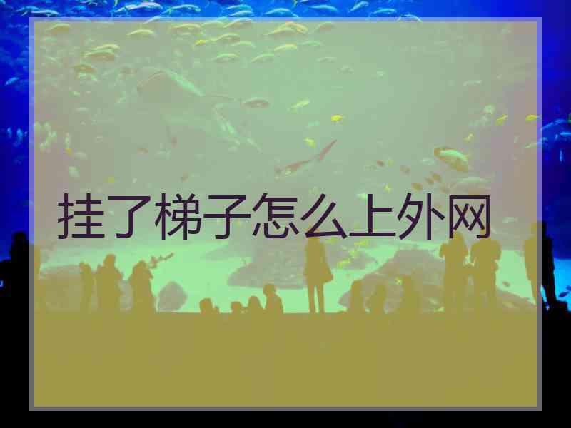 挂了梯子怎么上外网