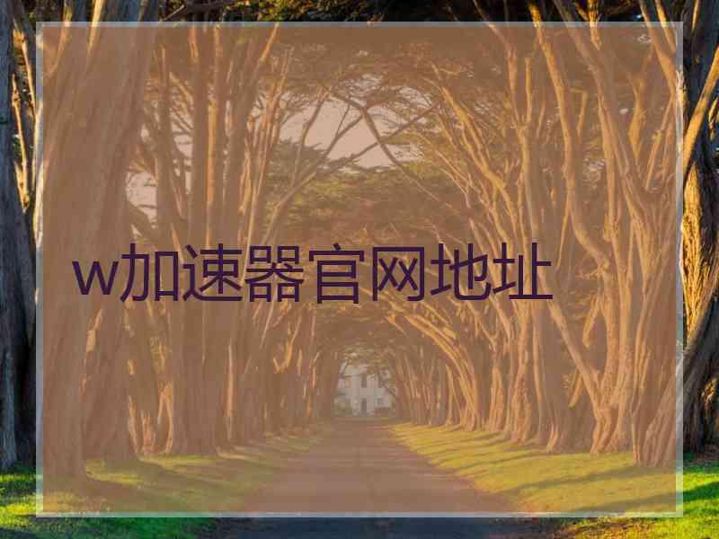 w加速器官网地址