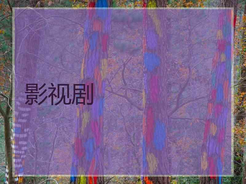 影视剧