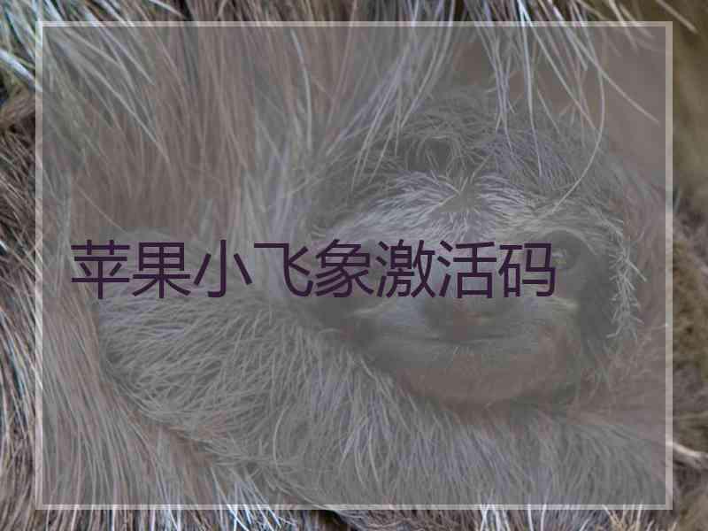 苹果小飞象激活码