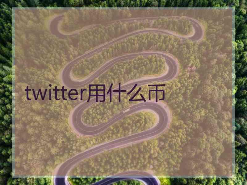 twitter用什么币