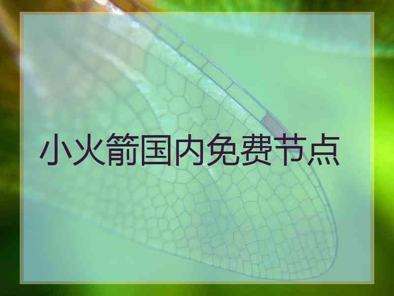小火箭国内免费节点