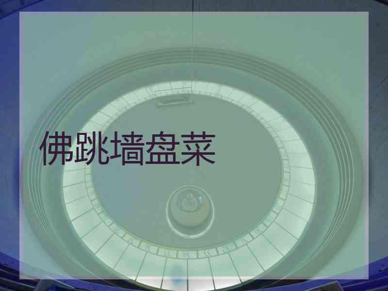 佛跳墙盘菜