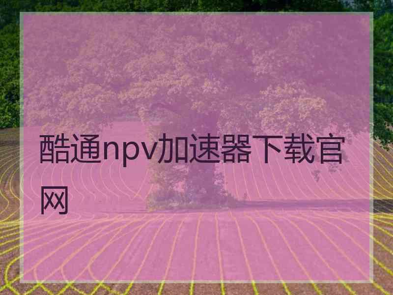 酷通npv加速器下载官网