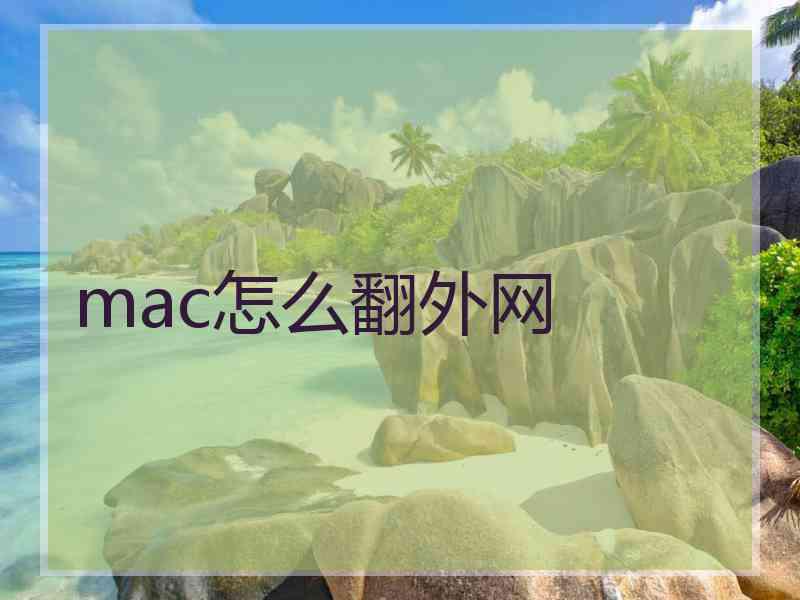 mac怎么翻外网