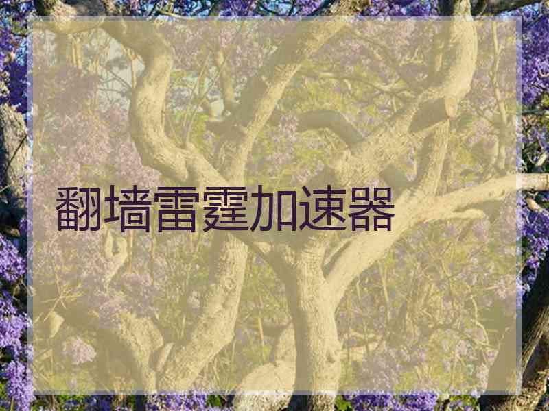 翻墙雷霆加速器
