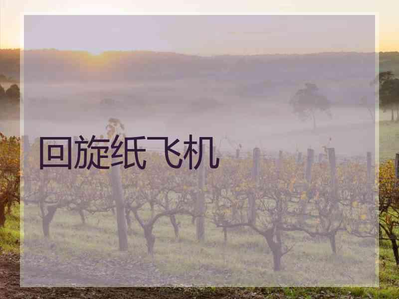 回旋纸飞机