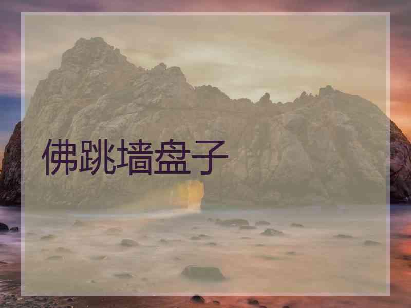 佛跳墙盘子
