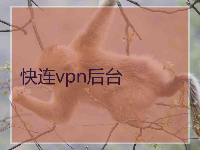 快连vpn后台