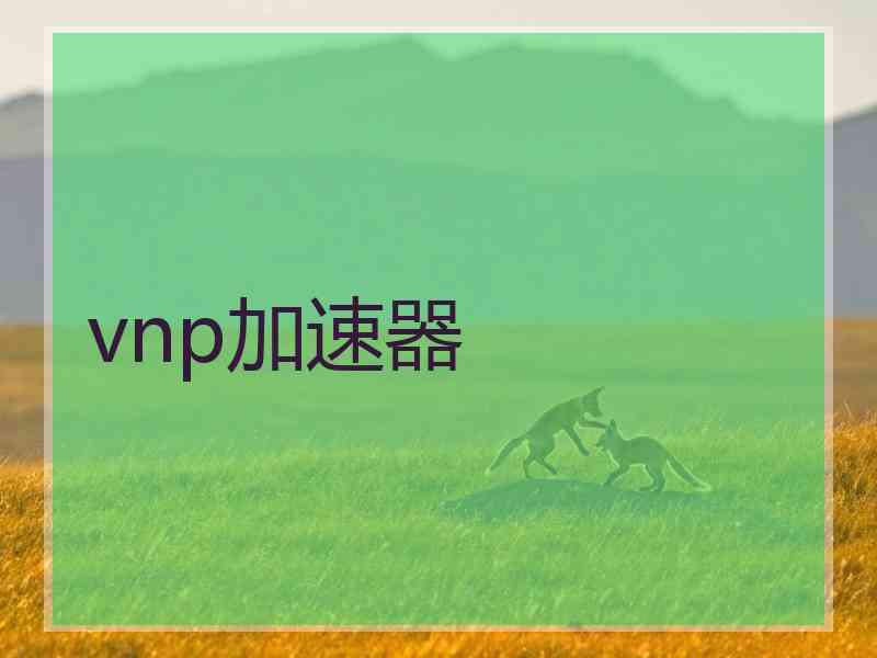 vnp加速器