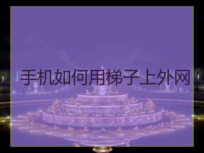 手机如何用梯子上外网