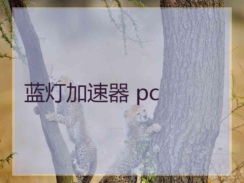 蓝灯加速器 pc