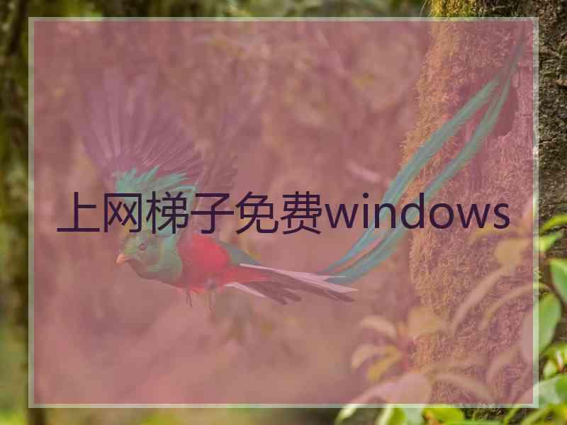 上网梯子免费windows