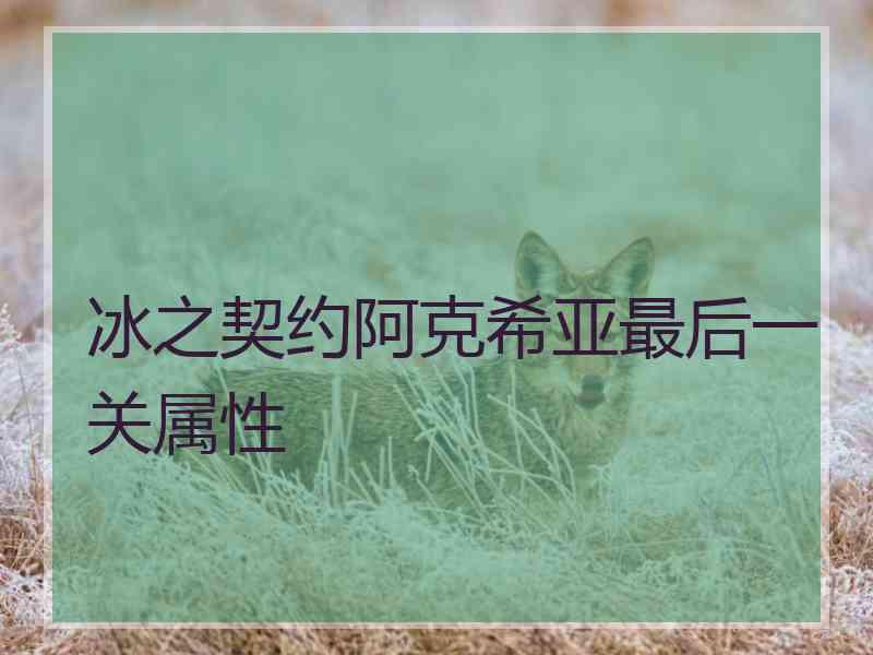 冰之契约阿克希亚最后一关属性