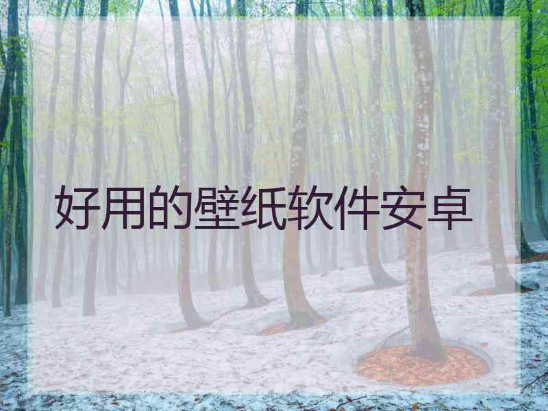 好用的壁纸软件安卓