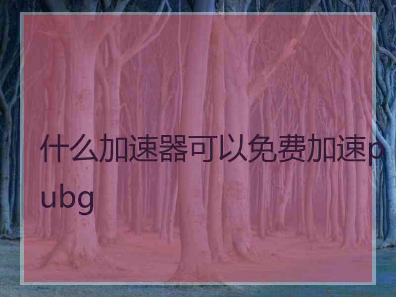 什么加速器可以免费加速pubg
