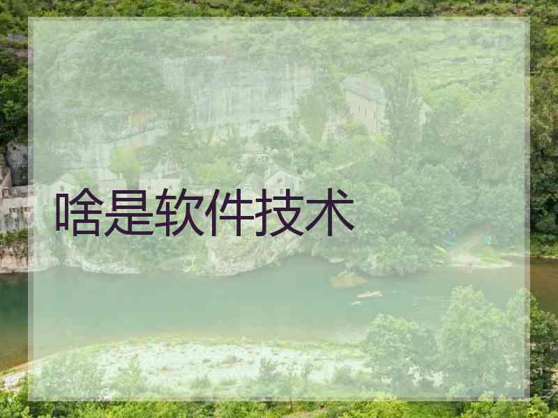 啥是软件技术