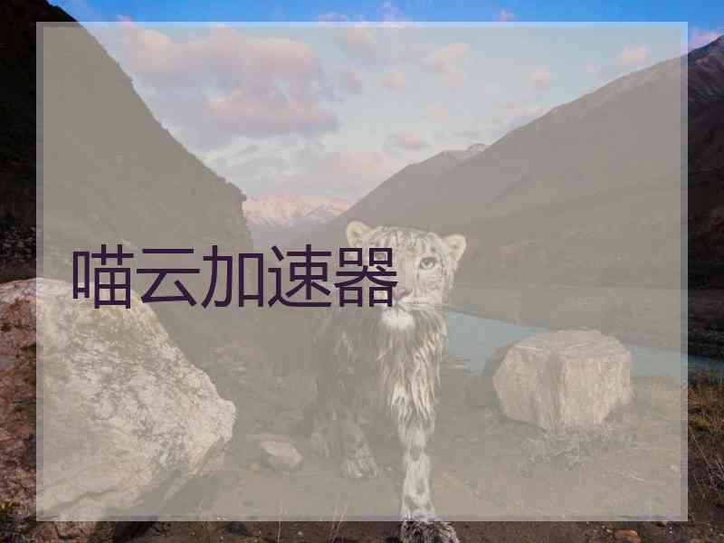 喵云加速器