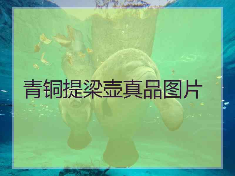 青铜提梁壶真品图片