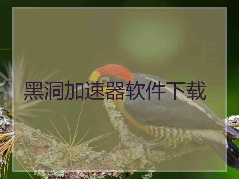 黑洞加速器软件下载
