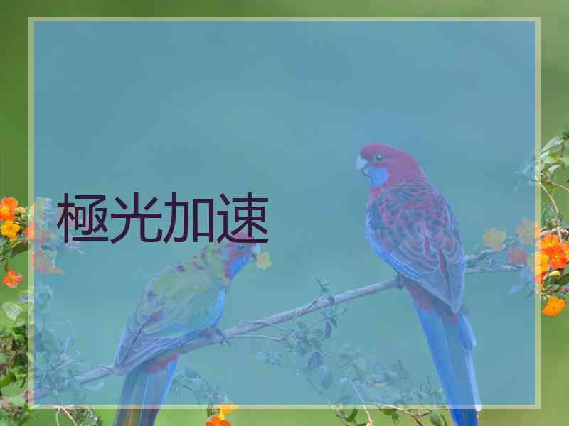 極光加速