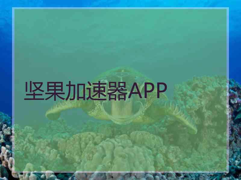 坚果加速器APP
