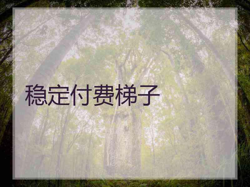 稳定付费梯子