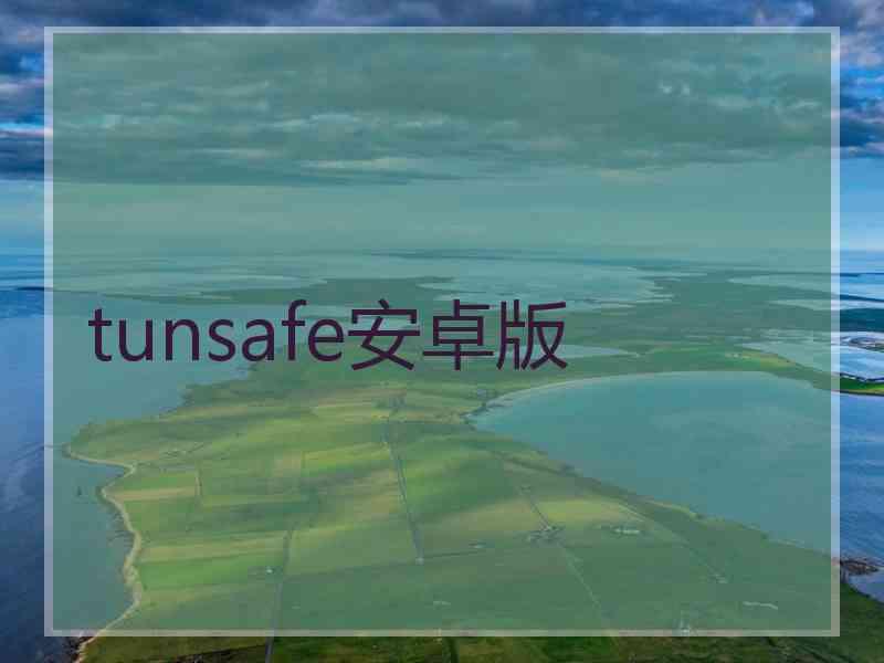 tunsafe安卓版
