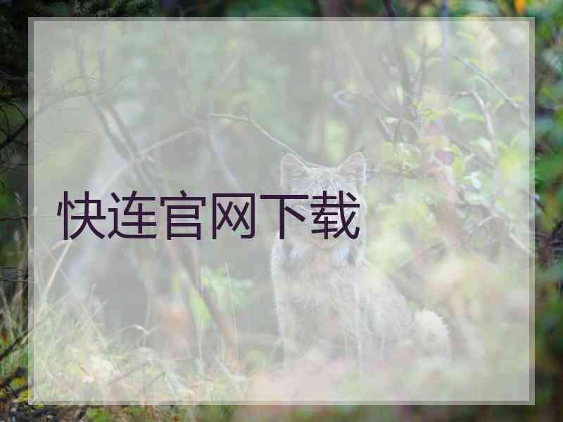 快连官网下载