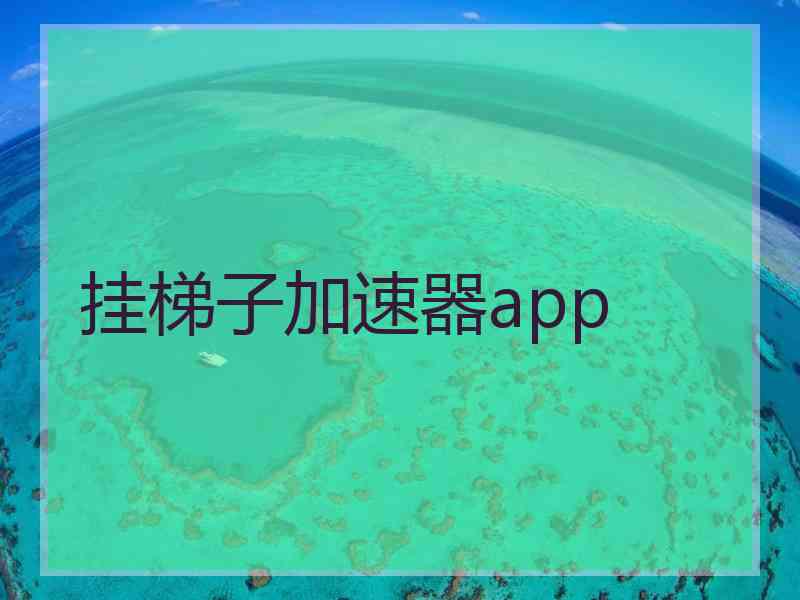 挂梯子加速器app