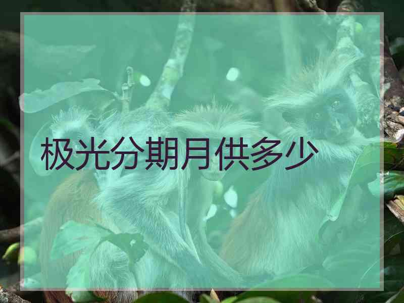 极光分期月供多少