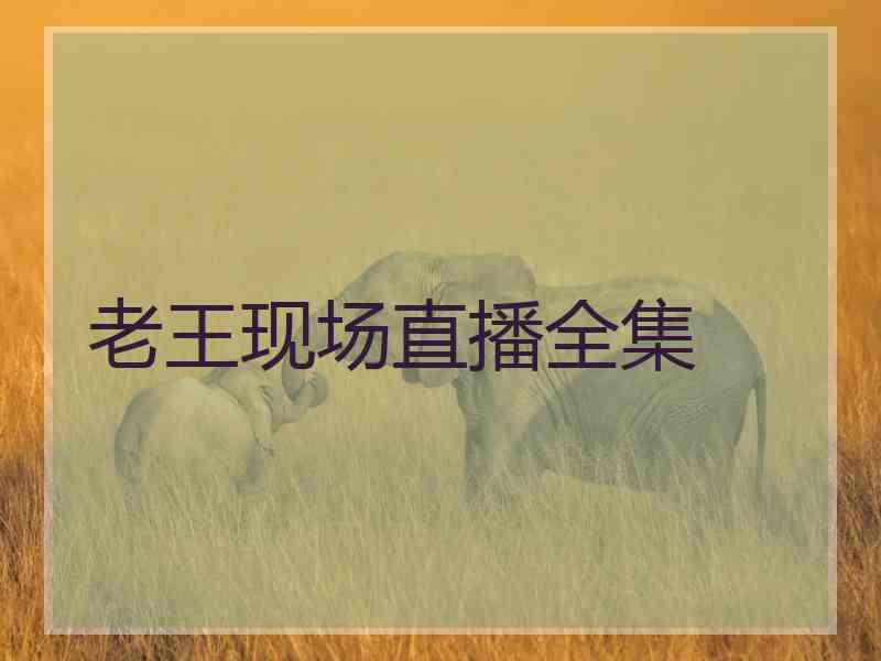 老王现场直播全集