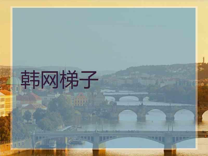 韩网梯子