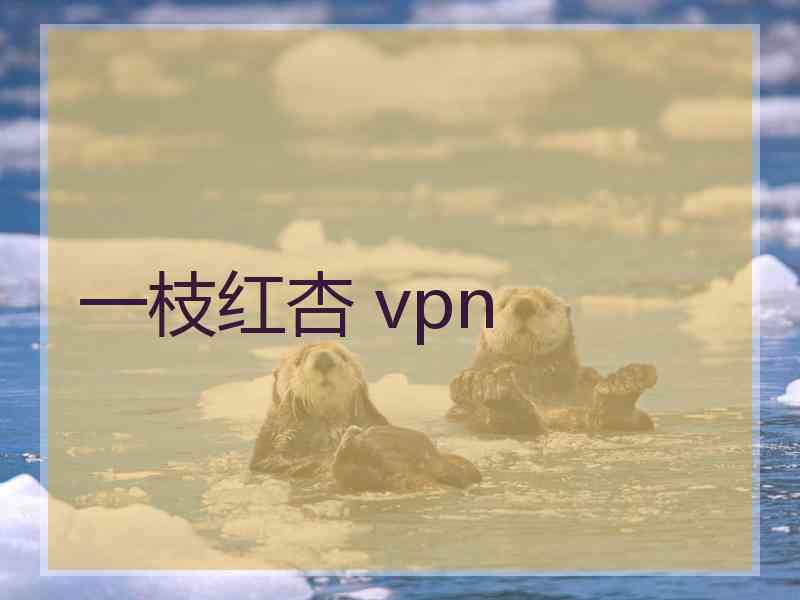 一枝红杏 vpn