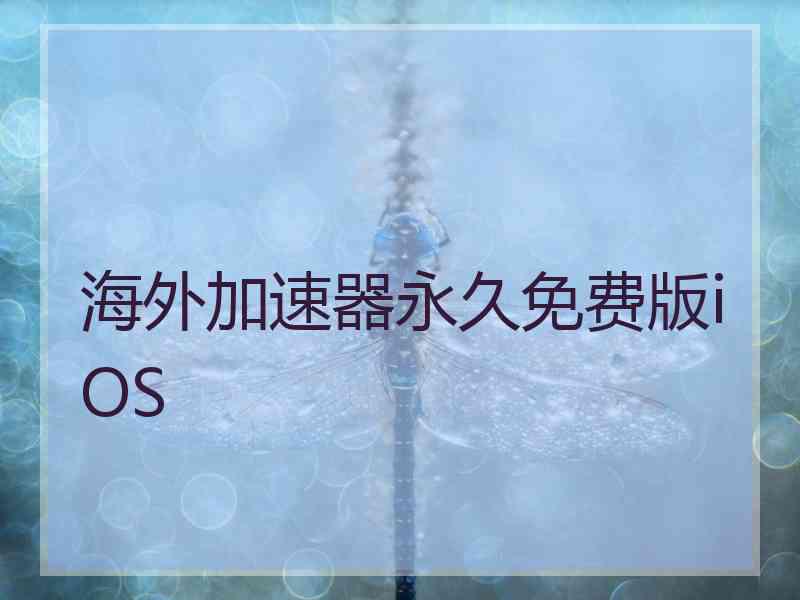 海外加速器永久免费版iOS