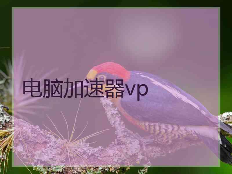电脑加速器vp