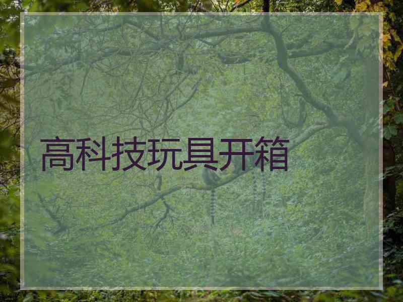 高科技玩具开箱