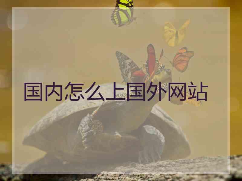 国内怎么上国外网站