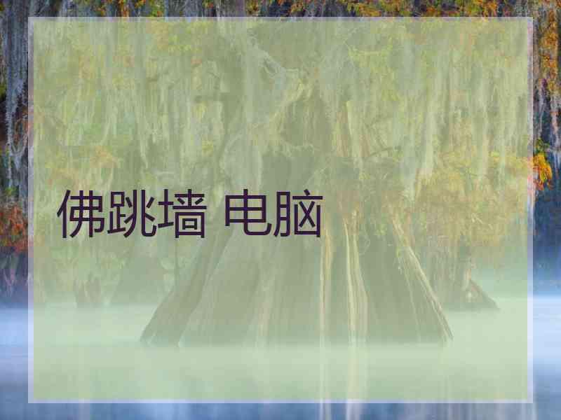 佛跳墙 电脑