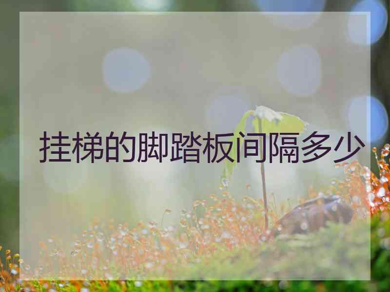 挂梯的脚踏板间隔多少