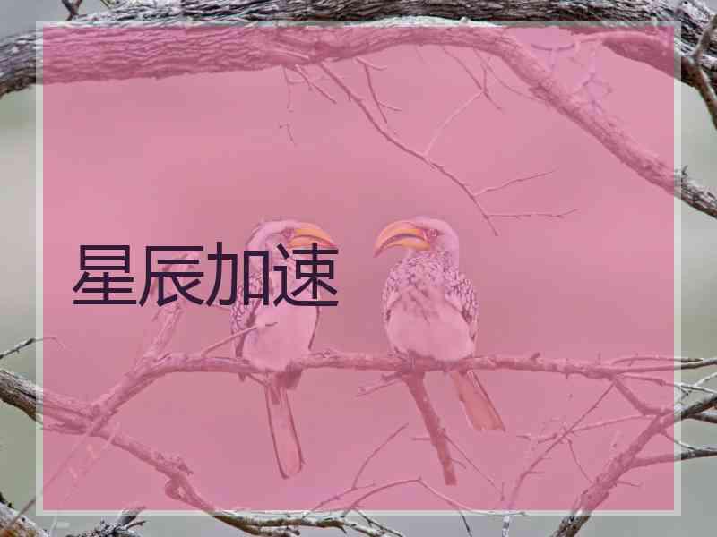 星辰加速
