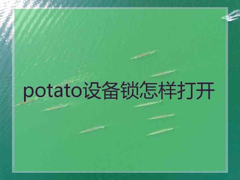 potato设备锁怎样打开