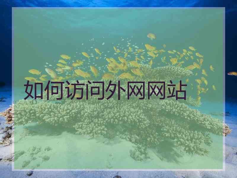 如何访问外网网站