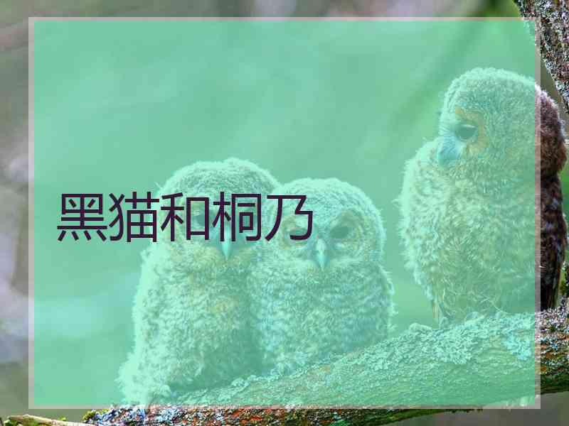 黑猫和桐乃